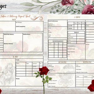 Labor and Delivery Report Sheet | Colorful Nurse Report | Nurse Brain ...