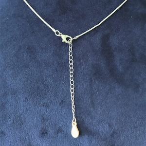 Peut inclure: Un collier en cha&icirc;ne argent&eacute;e avec un fermoir &agrave; ressort et un petit pendentif en forme de poire.