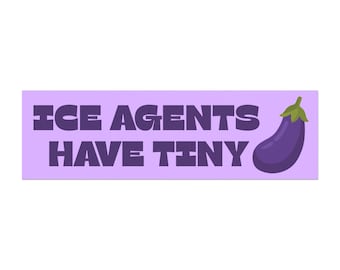 10" x 3" ANTI ICE automagneet, anti-troef automagneet, protestvlag, verdedig de grondwet, politieke magneet, bumpersticker alternatief