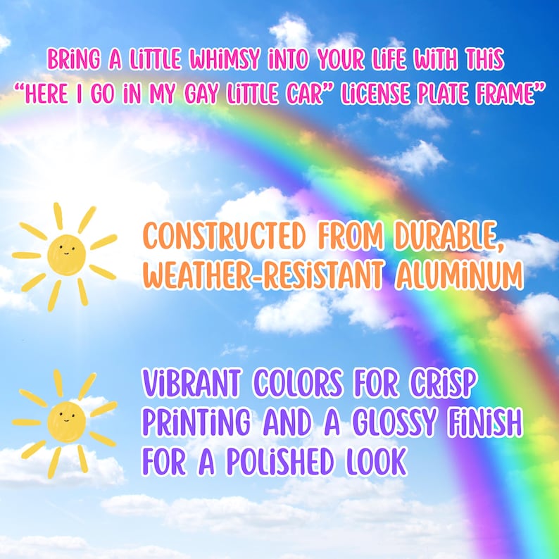 Grappig metalen kentekenplaatframe Gay autootje - LGBT Pride-cadeau, regenboog kentekenplaathouder, queer auto-accessoires, uniek grappig voertuig afbeelding 4