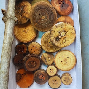 May include: A collection of wooden buttons in various sizes and shades of brown, tan, and orange, arranged in a white box. The buttons have multiple holes for sewing and display natural wood grain patterns.