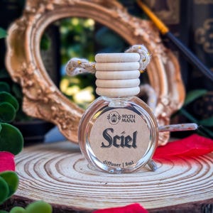 Sciel Car Diffuser| Clair Obscur: Expedition 33 Game Inspired | Red Currant & Vanilla Noir