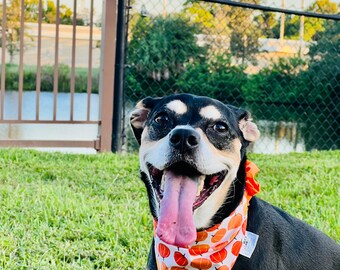 Pumpkin Dog Bandana: Reversible Halloween Pet Bandana