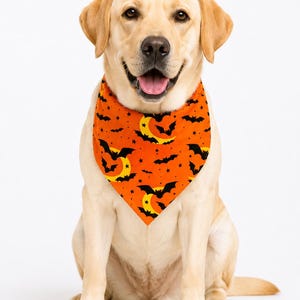 May include: A golden Labrador Retriever wearing an orange Halloween-themed bandana. The bandana features a repeating pattern of black bats, yellow moons, and stars. The dog is sitting and looking directly at the camera.