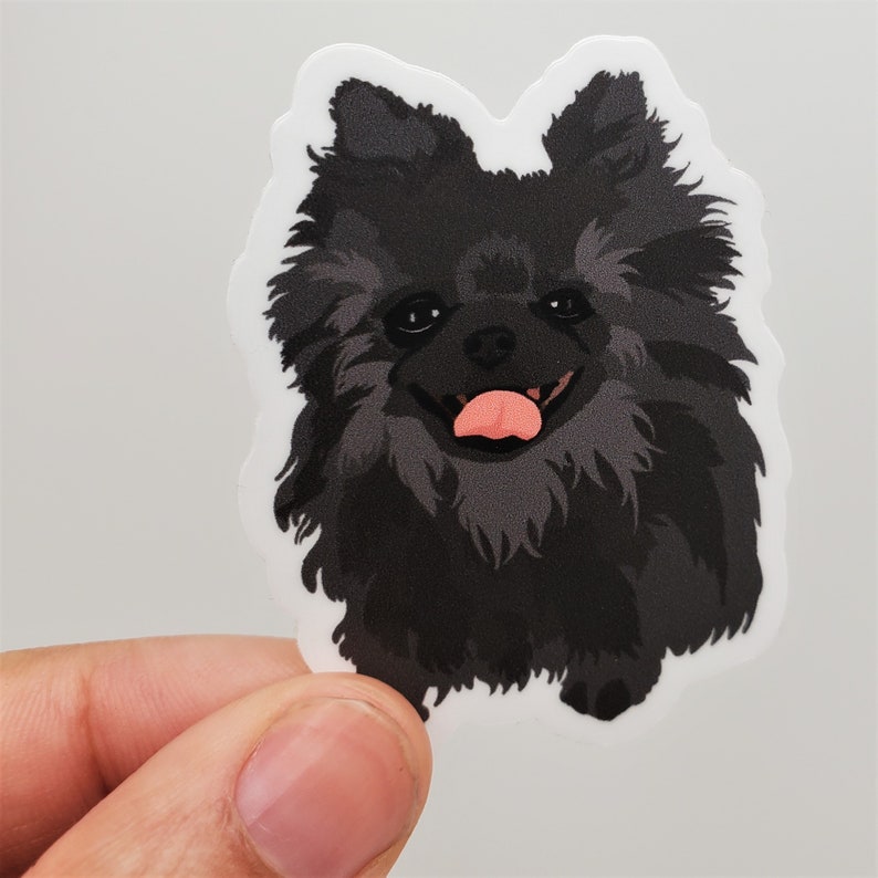 Pomeranian Black Gray Dog Sticker, Die Cut Vinyl, Water Bottle, Laptop ...