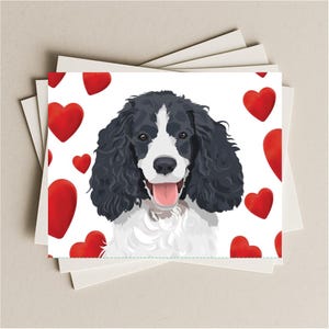 Springer Spaniel Love Valentine Anniversary card, Springer Spaniel Black dog gift card, puppy dog blank greeting card with red hearts