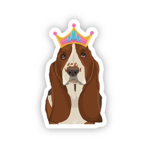 May include: A brown and white basset hound wearing a pink and gold crown with blue jewels.