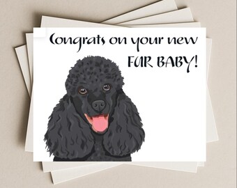 ¡Felicidades a la nueva mascota de mi Caniche Negro! Tarjeta de felicitación para la nueva mascota de mi Caniche Negro. Tarjeta de regalo para la nueva mascota de mi Caniche Negro.
