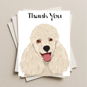 May include: A stack of white cards with a greeting card featuring a smiling poodle illustration. The card reads "Thank You" in black script above the dog's head. The poodle has cream-colored fur, brown eyes, and a pink tongue.