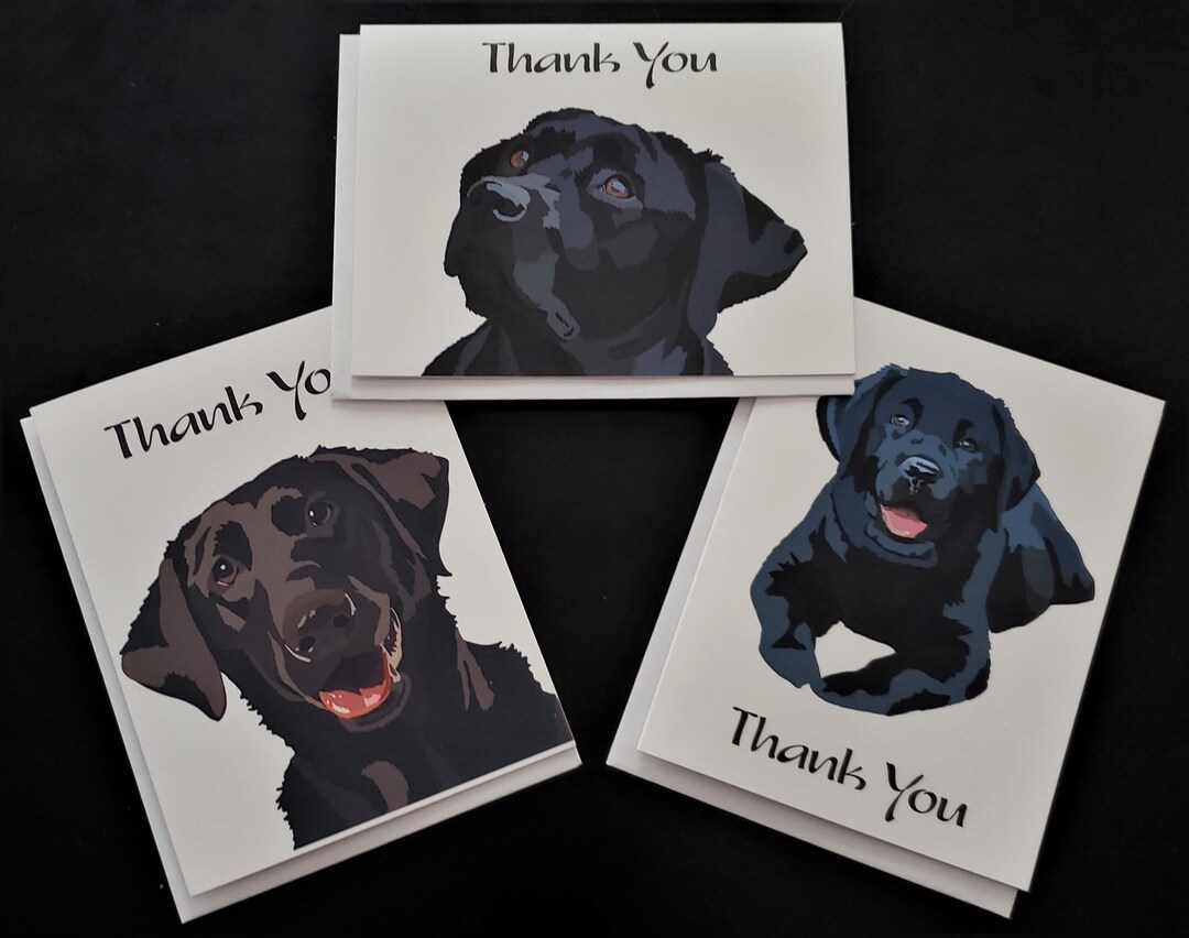 Mix of Black Labrador Thank You Cards Pack of 3 or 6 Black Etsy