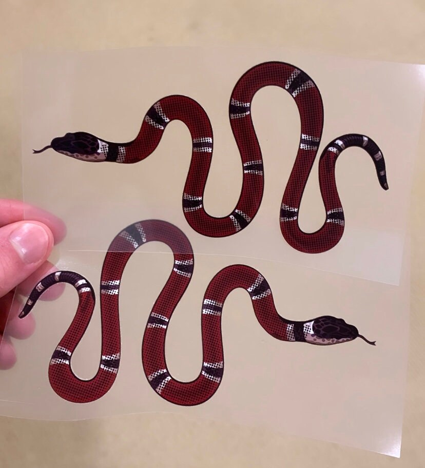 sail snake air force 1