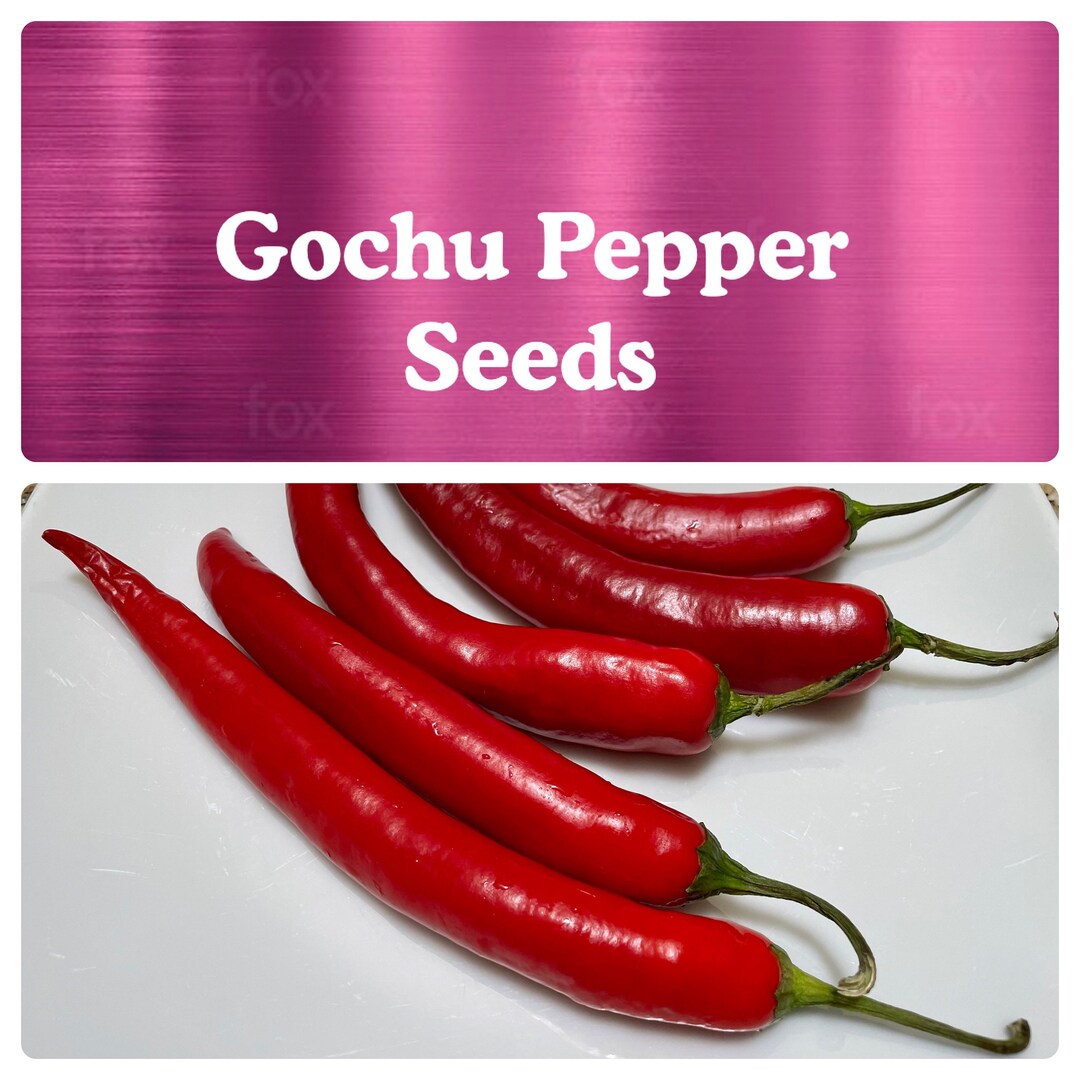 Gochu Pepper Seeds, Korean Kimchi Chili Pepper, Grown in USA , High Yield, Moderate Heat