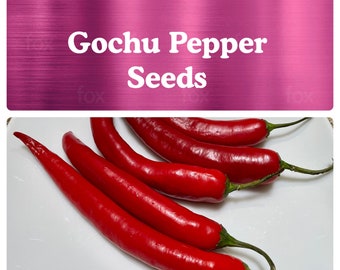 Gochu Pepper Seeds, Korean Kimchi Chili Pepper, Grown in USA , High Yield, Moderate Heat, Delicious Flavor