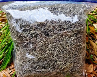 Spanish Moss - 1 Gallon Bag - Live Spanish Moss - Air Plant