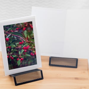Door County Cherries - Blank Card