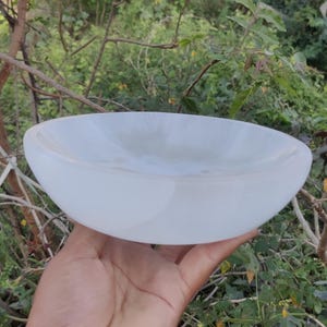 Pode incluir: Uma tigela branca, de formato oval, com um acabamento liso e brilhante. A tigela é segurada em uma mão contra um fundo de folhagem verde e galhos. O design da tigela é simples e elegante.