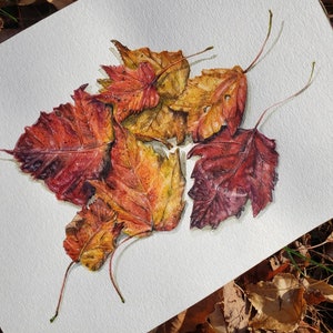 Fall Leaves Original Watercolor, Painting, Unframed Autumn wall decor, red yellow orange thanksgiving art