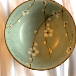 May include: A round ceramic bowl with a light blue-green glaze featuring a hand-painted design of brown branches with small white flowers. The bowl has a smooth, curved interior and a thin, dark brown rim that defines the circular edge.