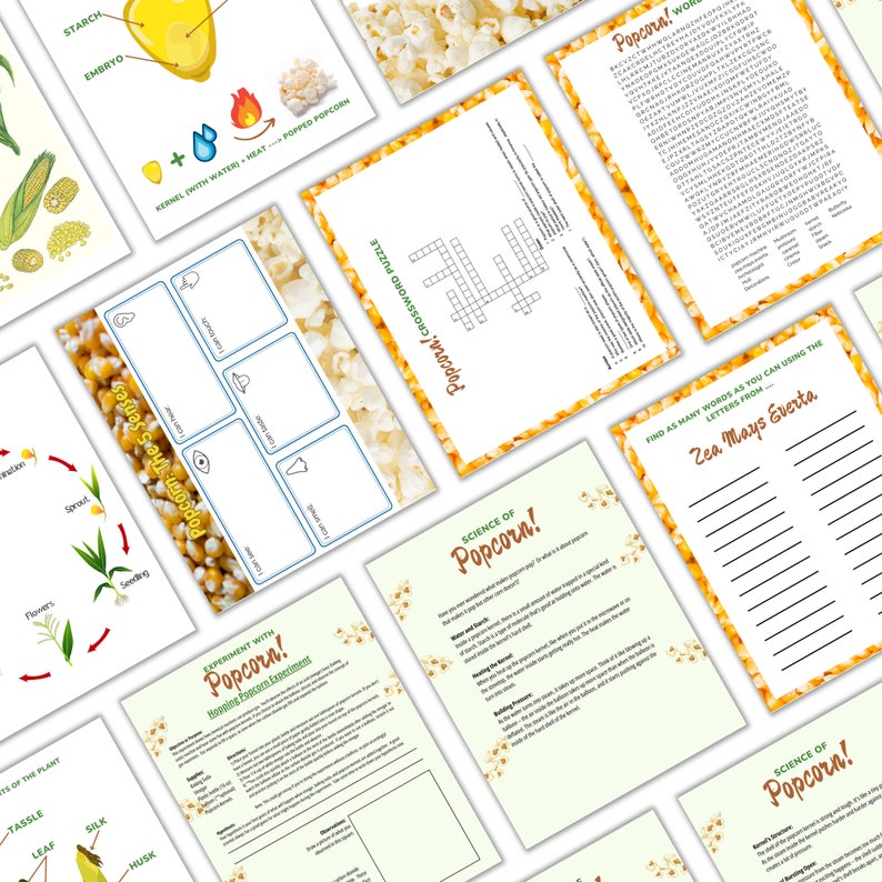 Popcorn Unit Study for Homeschool Etsy