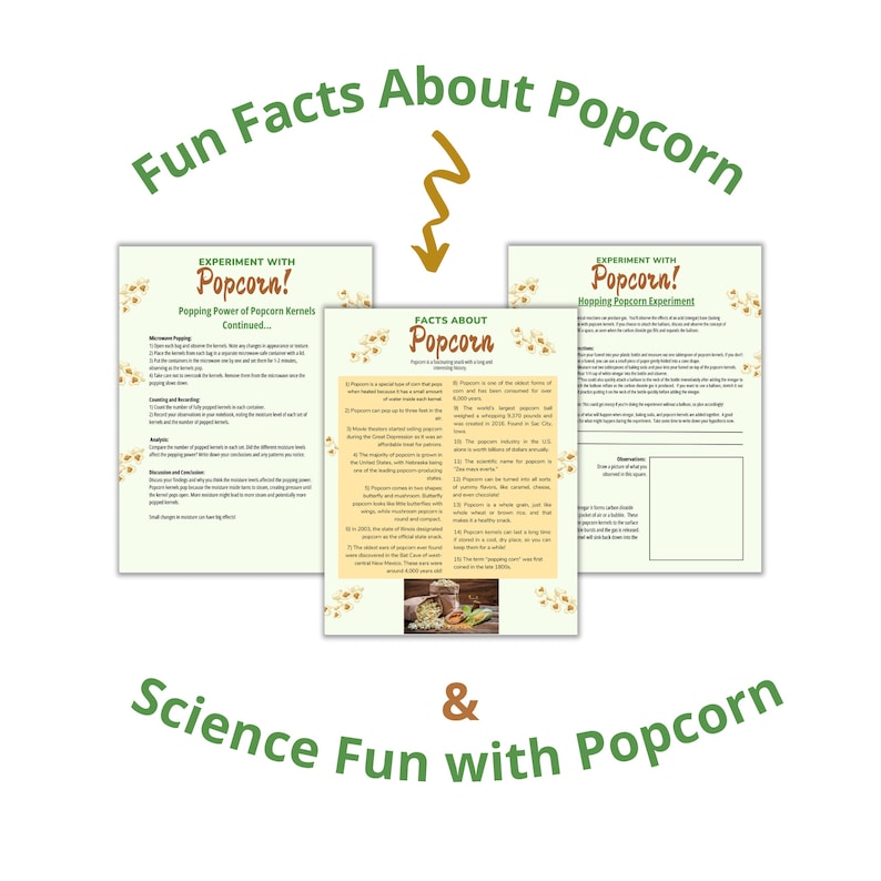 Popcorn Unit Study for Homeschool Etsy