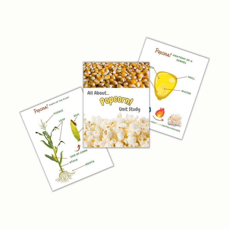 Popcorn Unit Study for Homeschool Etsy