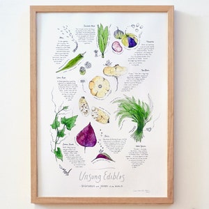 Food Art Print 'Gemüse & Kräuter der Welt' | A2 Food Poster | Botanischer Kunstdruck | Essen Zeichnung MIT BONUS Kochbegleiter Karte