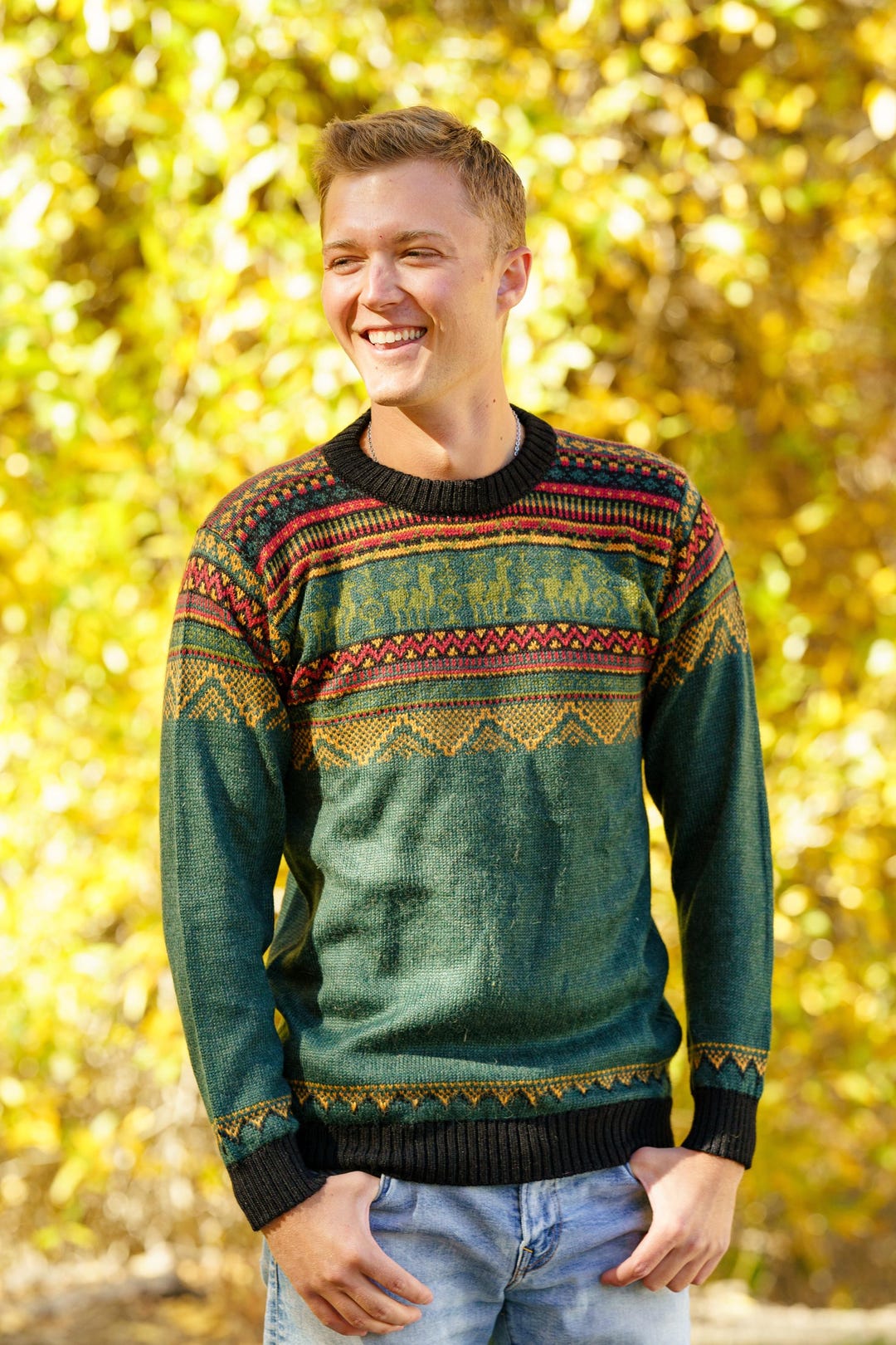 【破格！】PLAN C alpaca knit sweater Kiwi-Sweater-Multicolor-