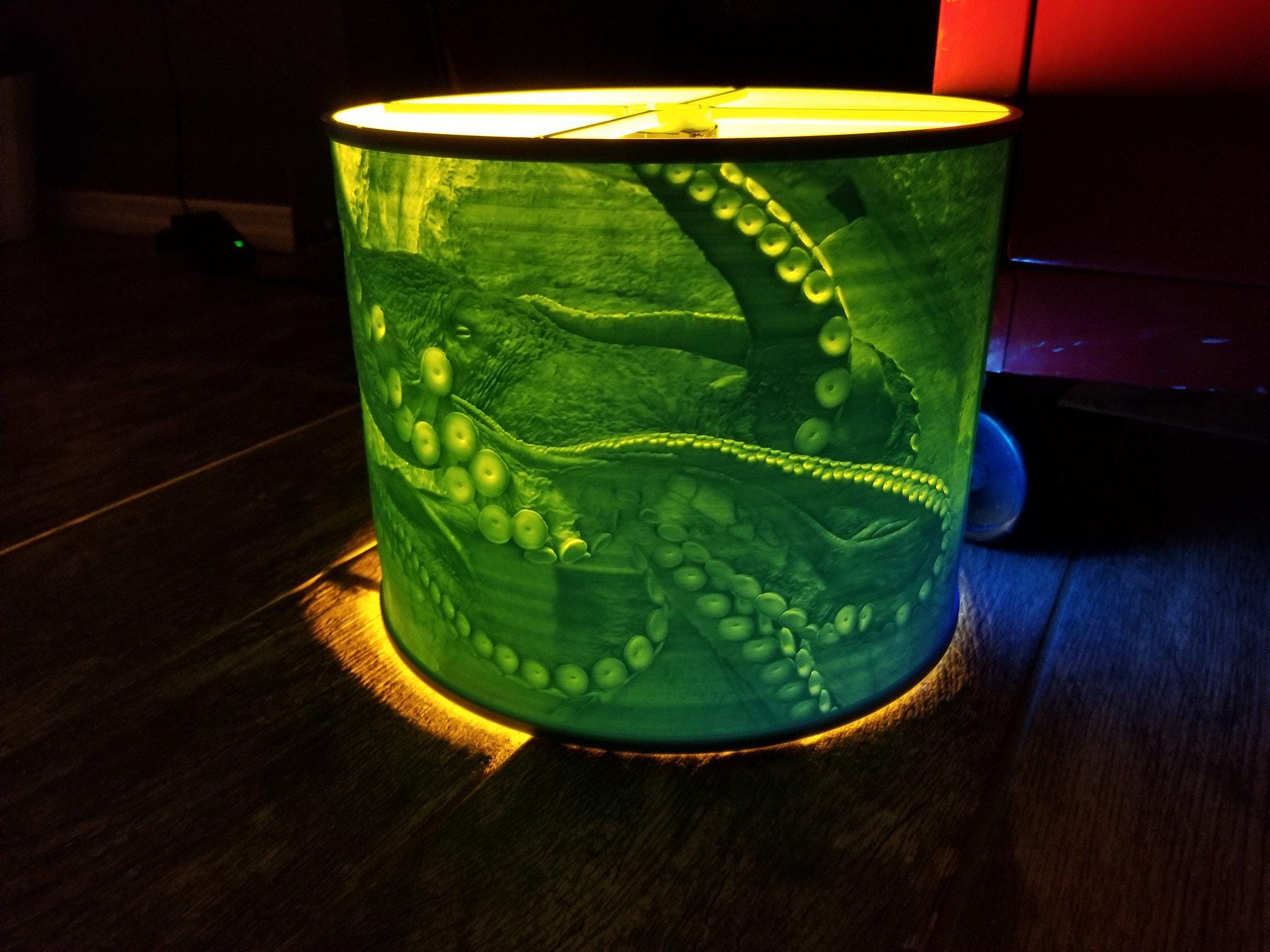 Lamps & Lights