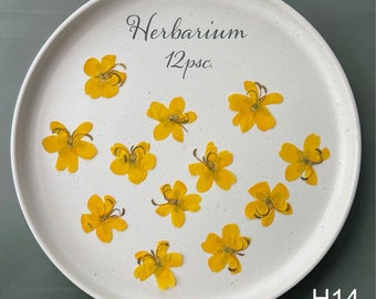 Dried Food safe Pressed Flowers and Leaves Yellow, 12pcs.