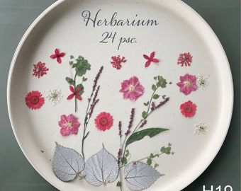 Flores y hojas prensadas secas de color rosa, aptas para alimentos