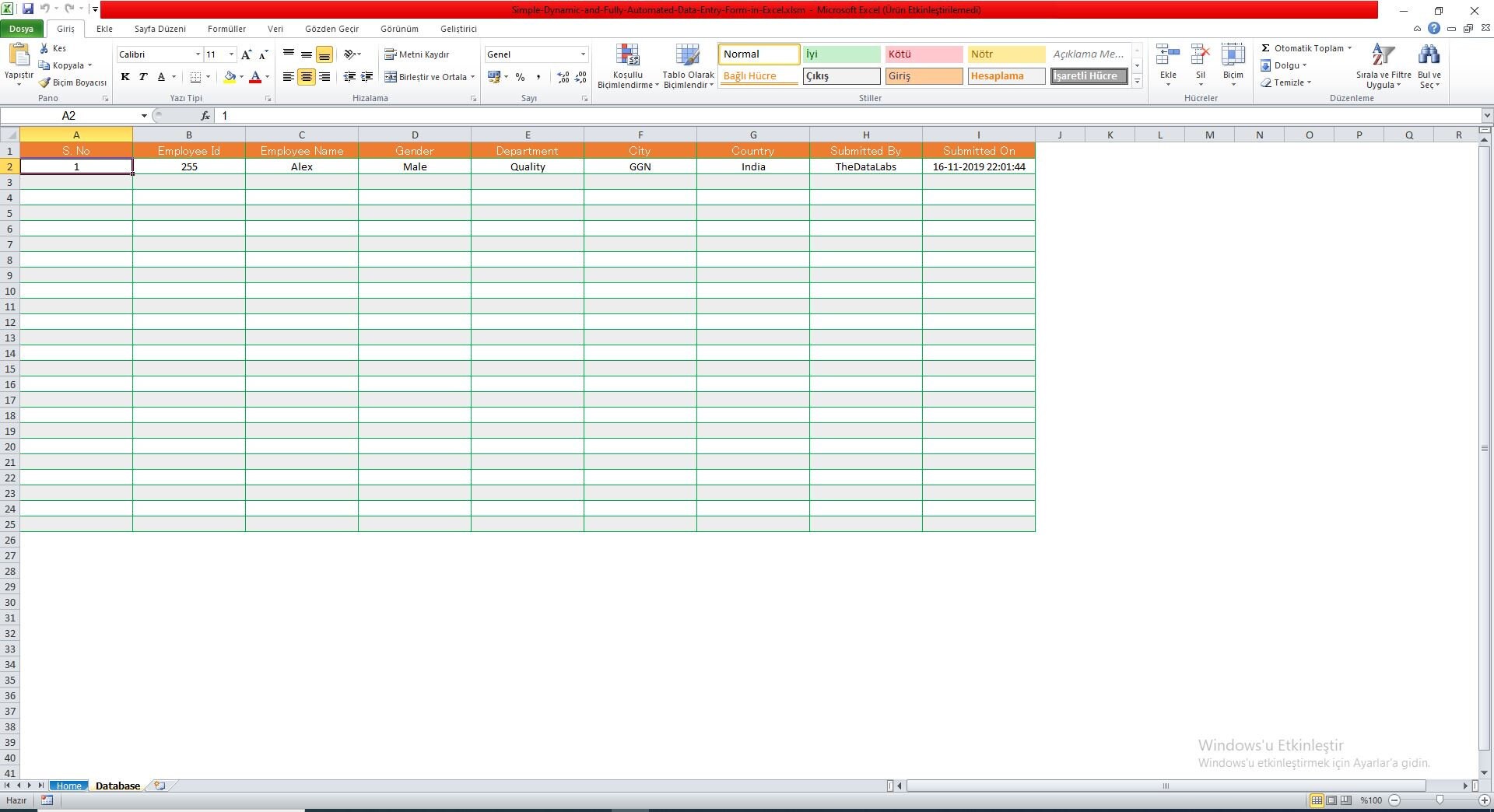 Simple-dynamic-and-fully-automated-data-entry-form-in-excel - Etsy