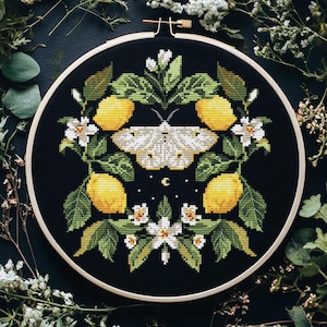 Puede incluir: Un bastidor de bordado de punto de cruz con un fondo negro, que representa limones, hojas, flores blancas y una polilla. El diseño está enmarcado en un aro de madera y rodeado de vegetación.