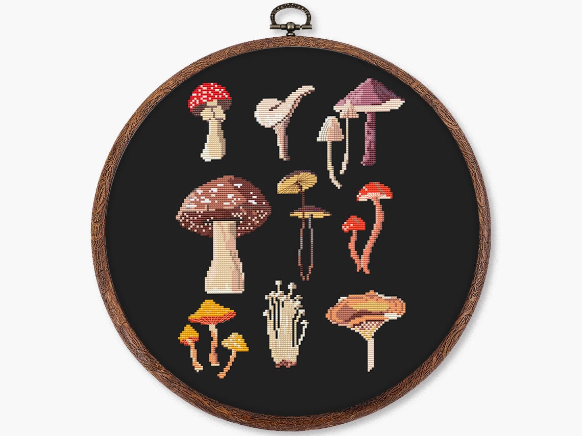 Fly Agaric Cross Stitch Beginner Kit. Mushrooms Starter Kit for