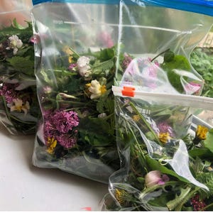 May include: Three clear plastic bags filled with a variety of colourful wildflowers and green foliage. The flowers include shades of pink, yellow, and white. The bags have blue zipper closures and orange clips.
