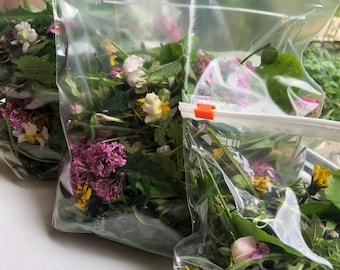 100g Tortoise Food - Handpicked Forage