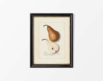 19世紀後半の英国派による水彩画 - 果物と花の静物画 オリジナル