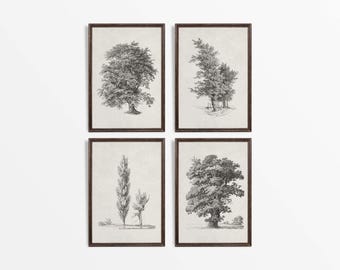 Set of Four Rustic Antique Tree Drawings, Neutral Vintage Sketch Wall Art, Countryside Landscape Décor, PHYSICAL Paper Prints #S4-0011
