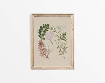 Antique Neutral Flower Wall Art, Botanical Drawing, Vintage Floral Still Life Watercolor Painting Farmhouse Décor PHYSICAL Paper Print #0901