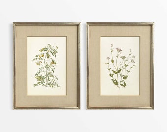 Set van twee vintage botanische tekeningen, minimalistische antieke bloemenaquarelschilderijen, boerderijdecor, fysieke papierafdrukken #S2-0006