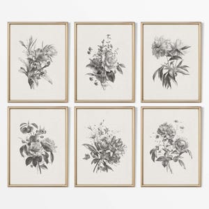 Set of Six Antique Botanical Drawings, Neutral Flower Sketches, Minimalist Vintage Wall Art, Floral Décor, PHYSICAL Paper Prints #S6-0007