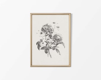Vintage Rose Wall Art Print, Neutral Antique Botanical Drawing, Minimalist Flower Sketch, Floral Farmhouse Décor, PHYSICAL Paper Print #0544