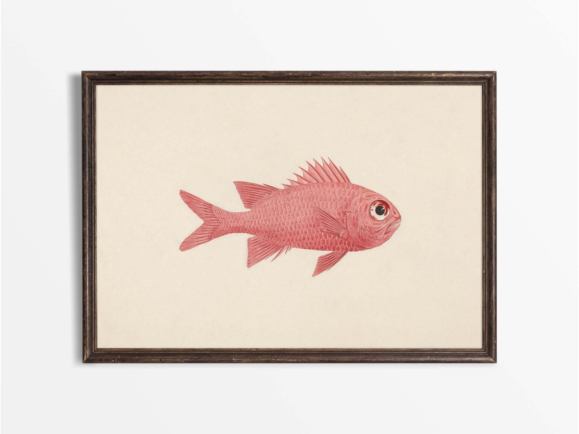 Fish Neutral Vintage Coastal Wall Art, Antique Neutral Fish Illustration, Rustic ...
