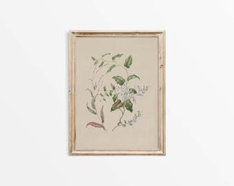 Antique Neutral Flower Wall Art, Floral Still Life Watercolor Painting, Vintage Botanical Drawing Farmhouse Décor PHYSICAL Paper Print #0897