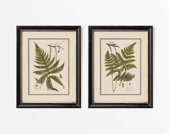 アンティークシダ植物画2枚セット、ニュートラルリーフウォールアート