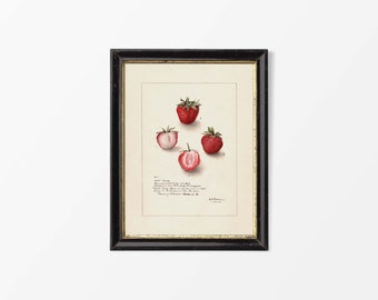 19世紀後半の英国派による水彩画 - 果物と花の静物画 オリジナル