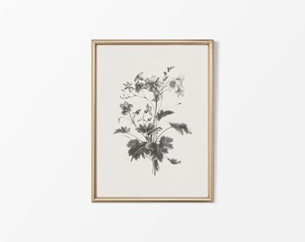 Könnte beinhalten: Eine Schwarzweiß- botanische Illustration einer Blume mit zarten Blütenblättern und Blättern, gerahmt in einem goldenen Rahmen.