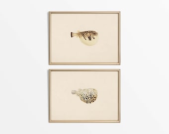 Set of Two Neutral Vintage Pufferfish Paintings, Antique Coastal Wall Art, Rustic Beach Décor, Watercolor PHYSICAL Paper Prints #S2-0049