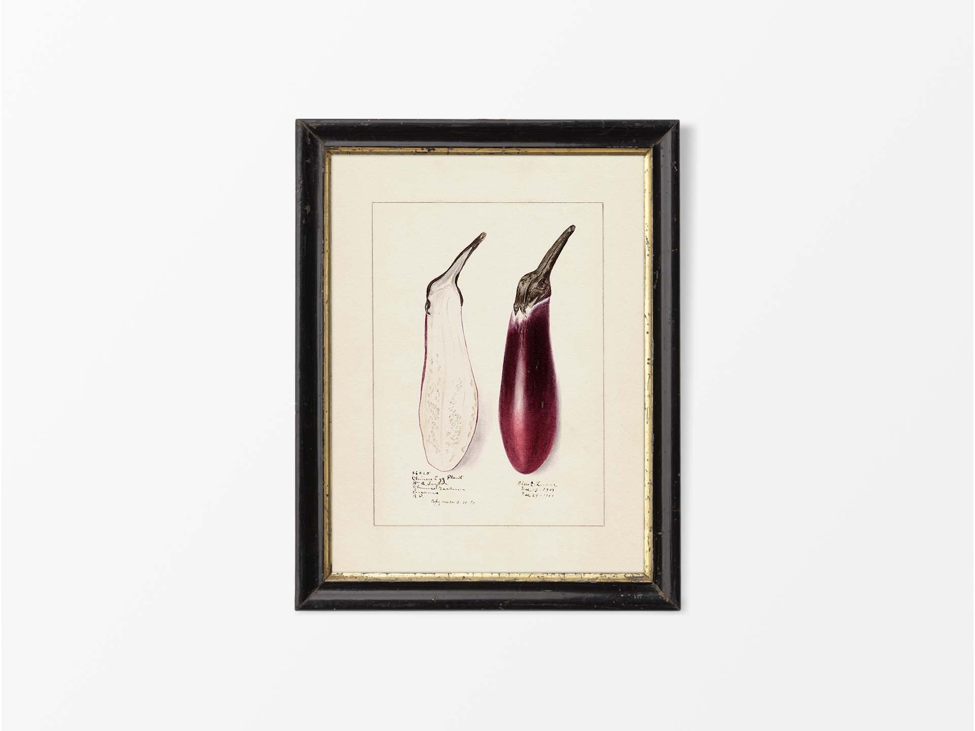 Plaque Murale Décorative Aubergine – Céramique Signée – Art Fruitier Vintage