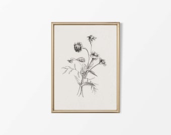 Impression de dessin de croquis de fleur botanique minimaliste | Illustration d'art mural vintage | Décor de campagne antique | Impression papier PHYSIQUE #0063