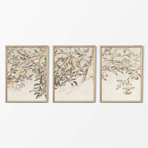 May include: A set of three framed prints featuring a watercolour illustration of a tree branch with leaves and fruit. The prints are in a light brown frame with a white mount.